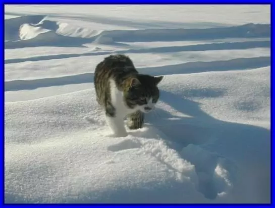 Ferienbauernhof Roth