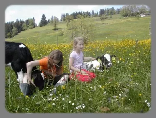 Ferienbauernhof Roth