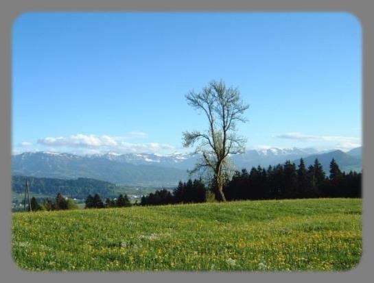 Ferienbauernhof Roth