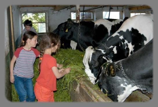 Ferienbauernhof Roth