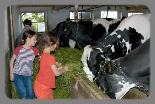 Ferienbauernhof Roth