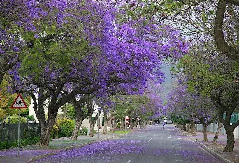 فندق Gubas De Hoek Meet Eat Sleep