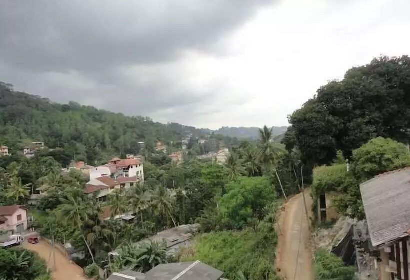 호텔 Majestic Tourist