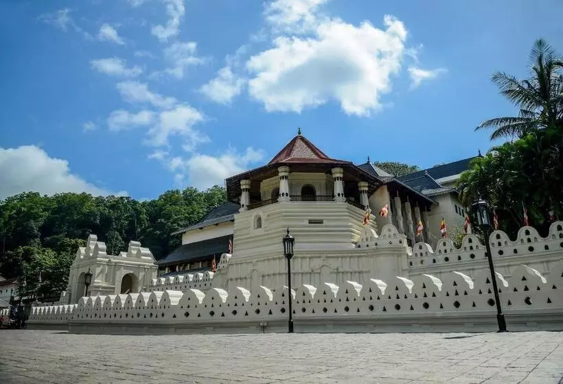 호텔 Majestic Tourist