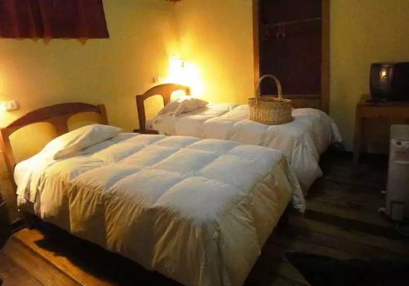 Orquidea Real Hostal