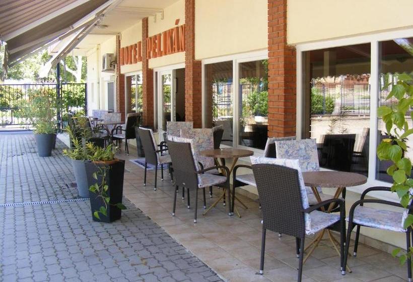 فندق Pelikán