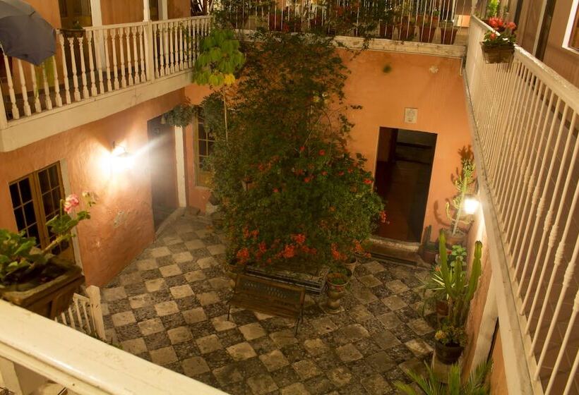 ホテル Posada Nueva Espana