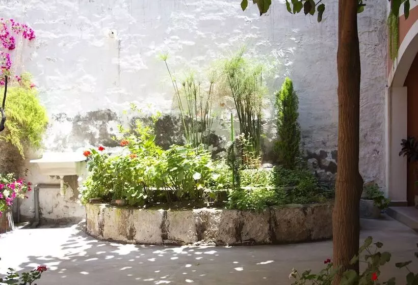 酒店 Posada Nueva Espana