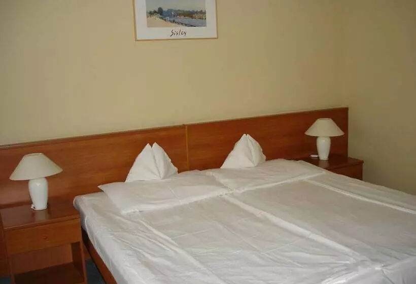 בית מלון כפרי Tisza Alfa