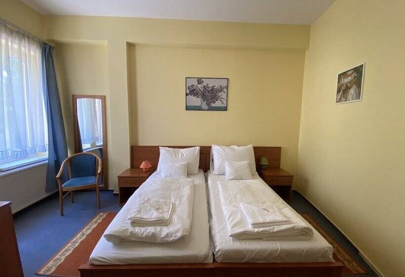 בית מלון כפרי Tisza Alfa