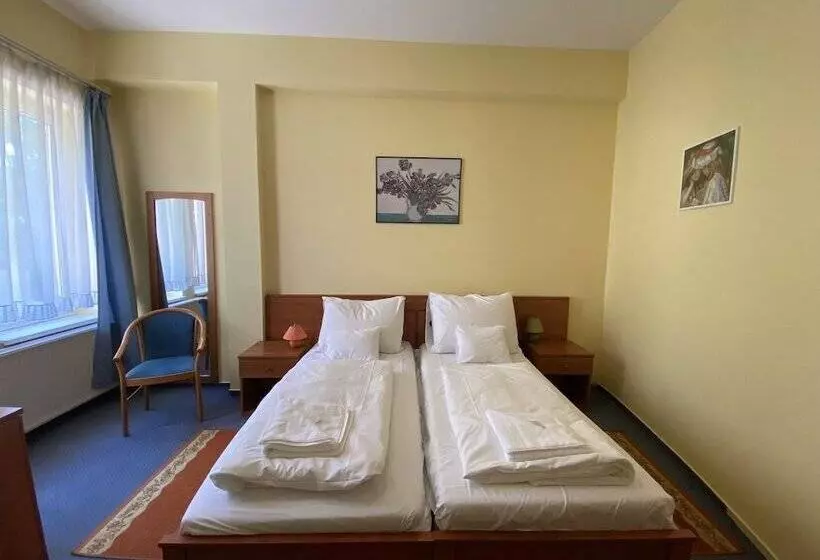 בית מלון כפרי Tisza Alfa