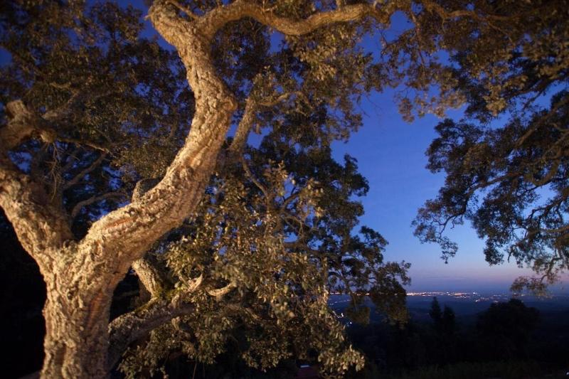 בית מלון כפרי Vilafoia