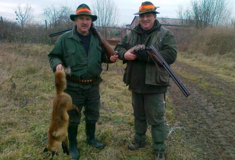 فندق Zsófia Panzió Pápa