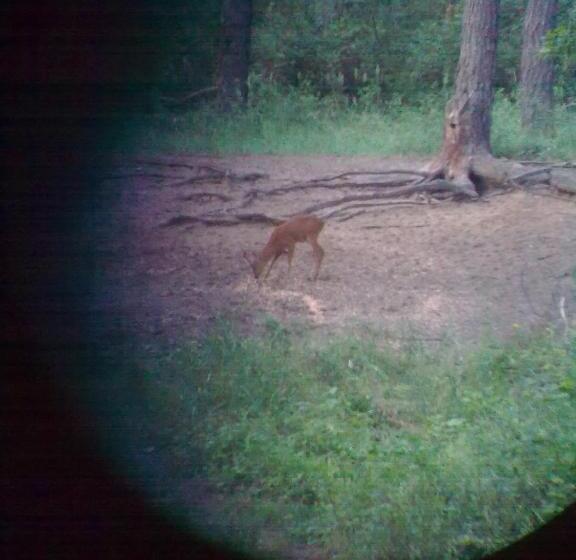 فندق Zsófia Panzió Pápa