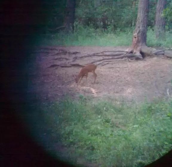Hotel Zsófia Panzió Pápa
