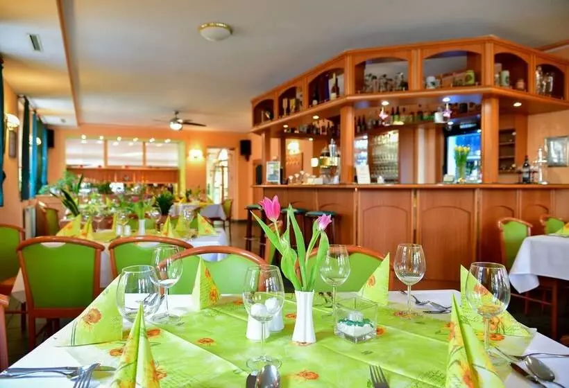 Hotelli Zum Goldenen Löwen