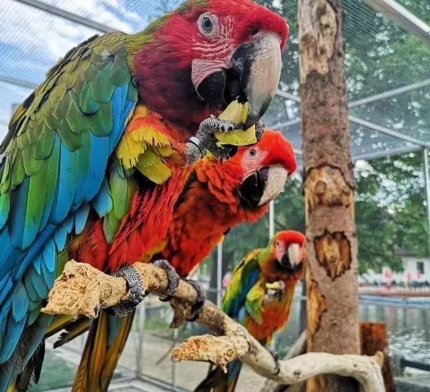 פנסיון Penzión Eko Park Piešťany