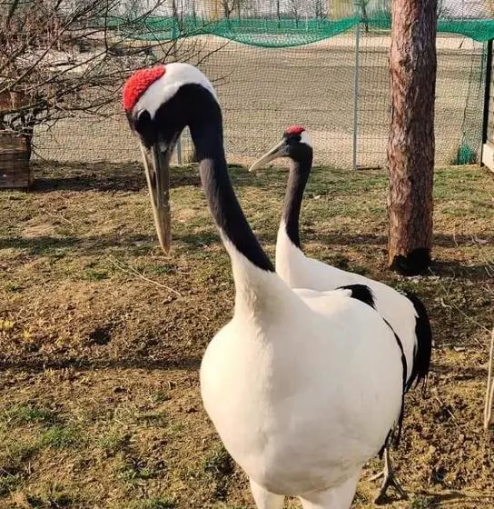 膳宿费 Penzión Eko Park Piešťany