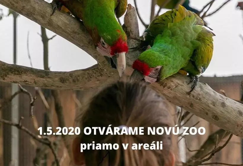 פנסיון Penzión Eko Park Piešťany