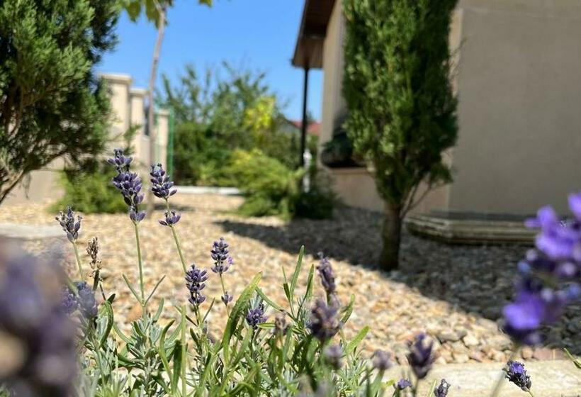 Mediterana Studio Next To Baile Felix