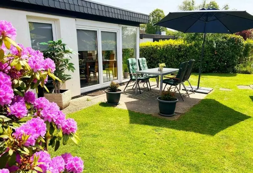 Zwischen Schlei & Ostsee