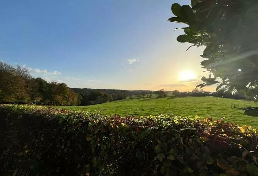 A L’orée Du Bois…