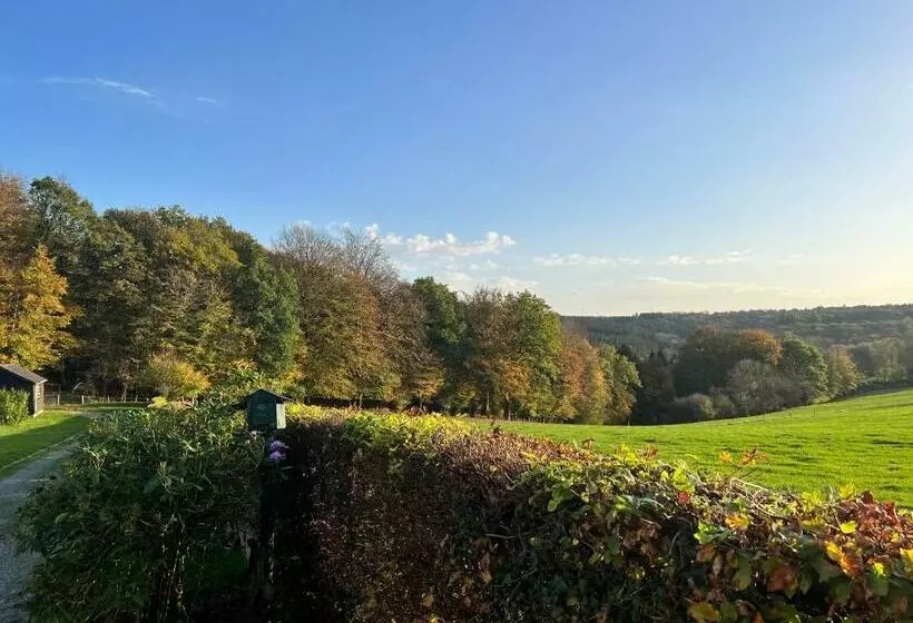 A L’orée Du Bois…