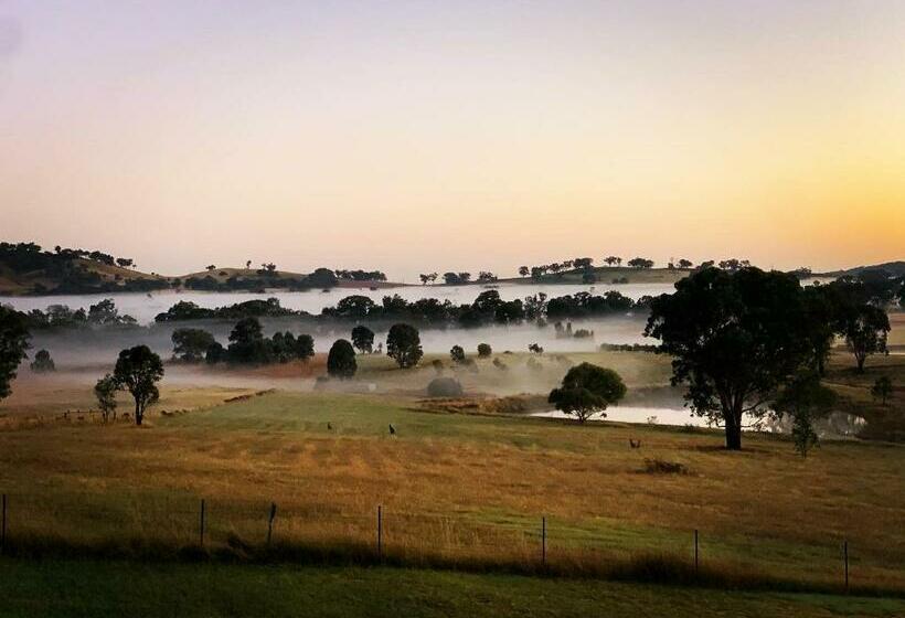 Grattai Grove Mudgee