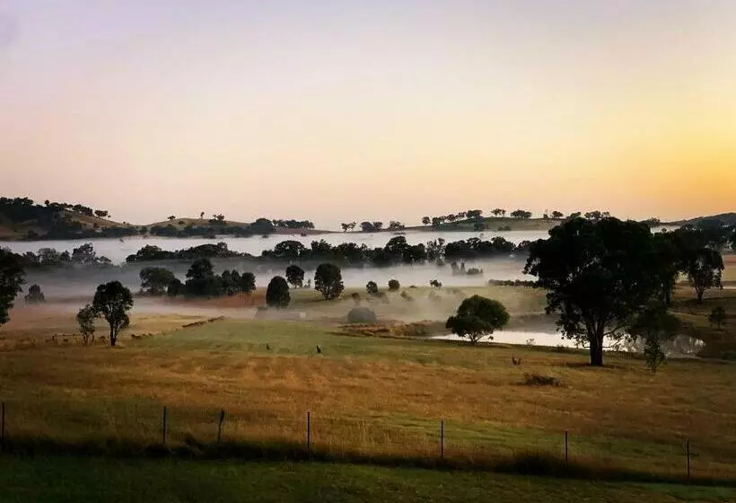 Grattai Grove Mudgee