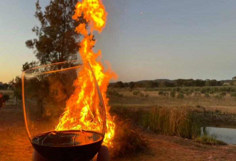 Grattai Grove Mudgee