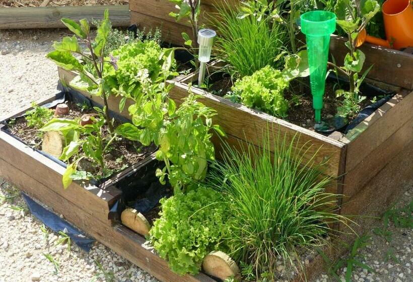 Maison De Charme 18e Siècle Avec Jardin, Parking Et Modernité – Proche De Vichy Et Charroux   Fr 1 4