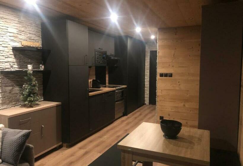Les Deux Alpes : Superbe Appartement Tout équipé