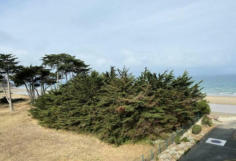 Résidence Caroual   2 Pièces Pour 4 Personnes 334