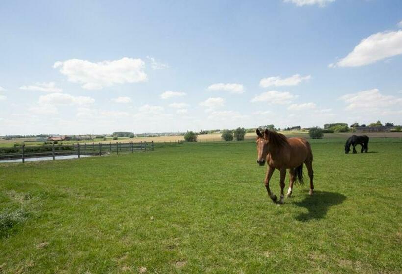 Cottage D Hoge Schure