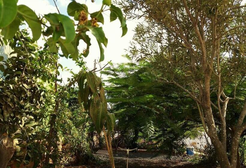 Casa Antigua En El Centro De Fuerteventura