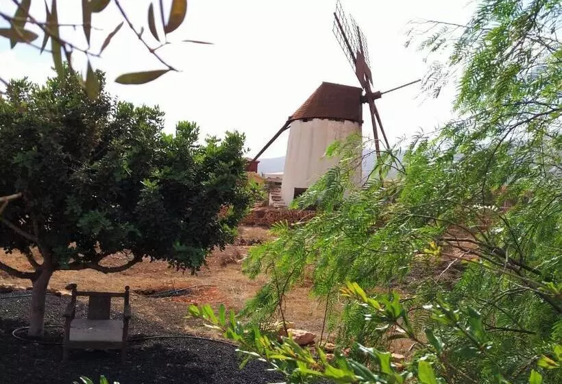 Casa Antigua En El Centro De Fuerteventura
