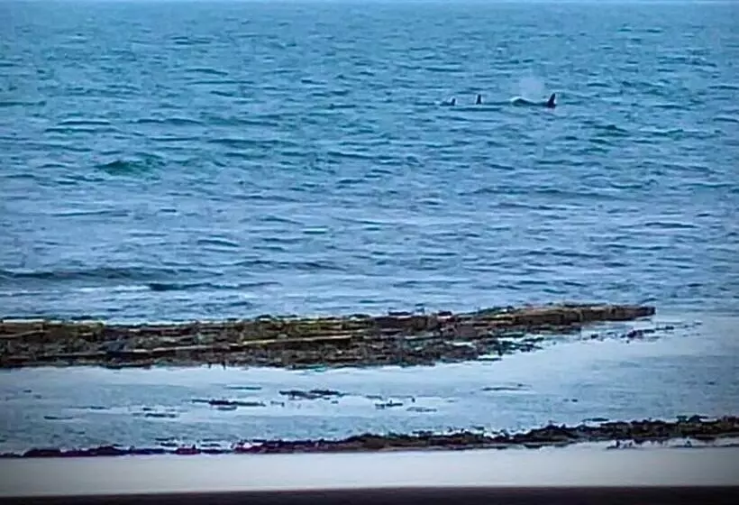 4 Sinclair Bay Lodges