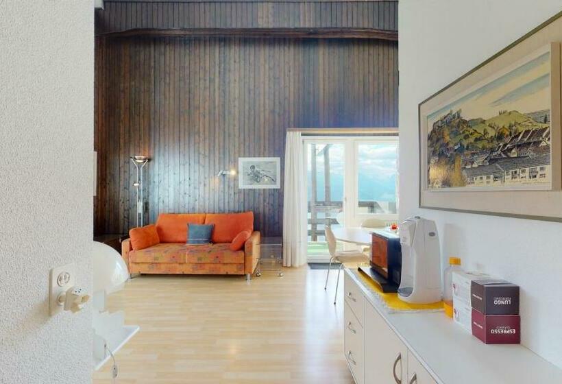 Perfect Start For Ski Touring, View From The 10th Floor !