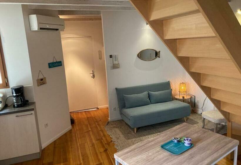 Collioure Centre Historique : Appartement De Charme