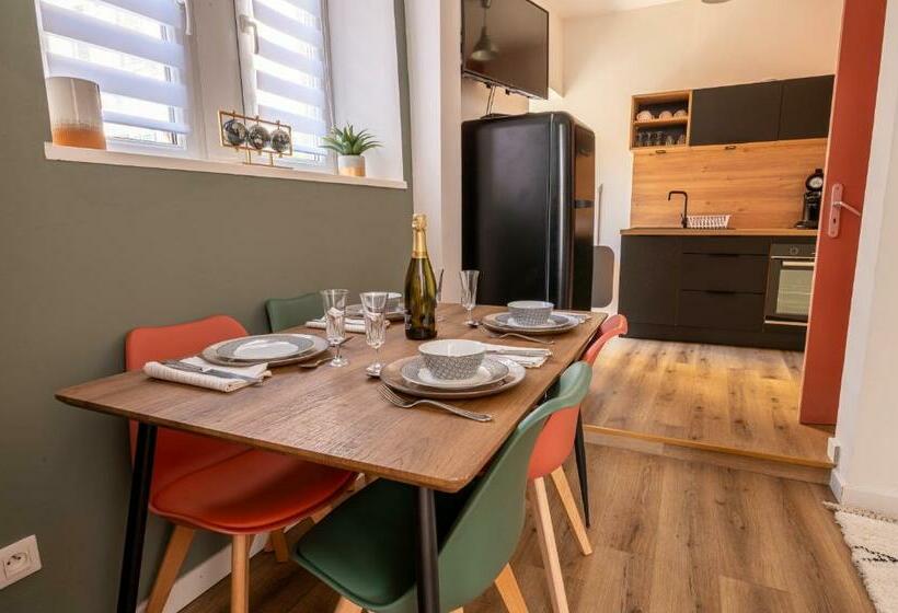 Appartement Cosy Avec Jardin Au Centre Historique De Sélestat & Proche Europa Park