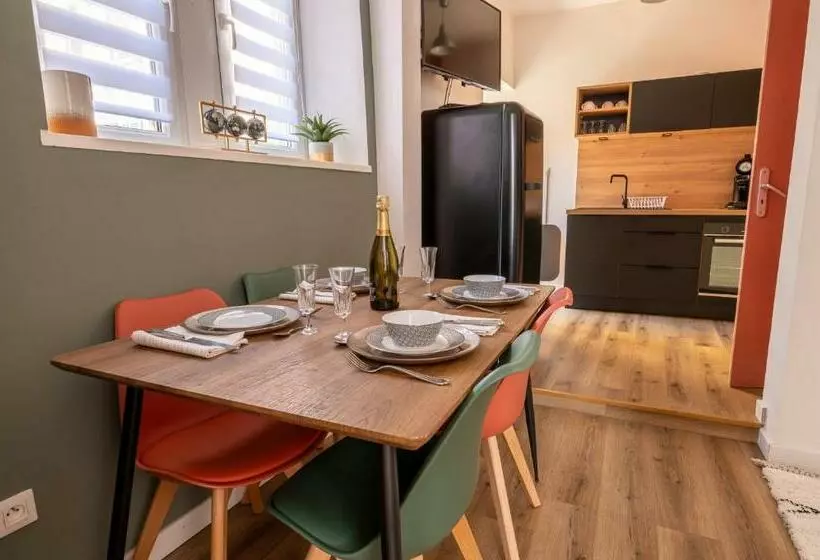 Appartement Cosy Avec Jardin Au Centre Historique De Sélestat & Proche Europa Park