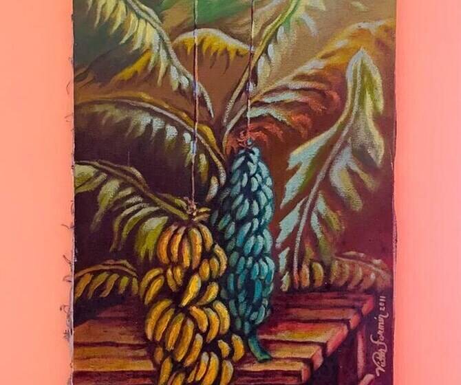 Casa Durazno Beautiful 3 Bed In Santo Domingo