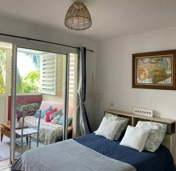 Beau Studio Proximité Plage