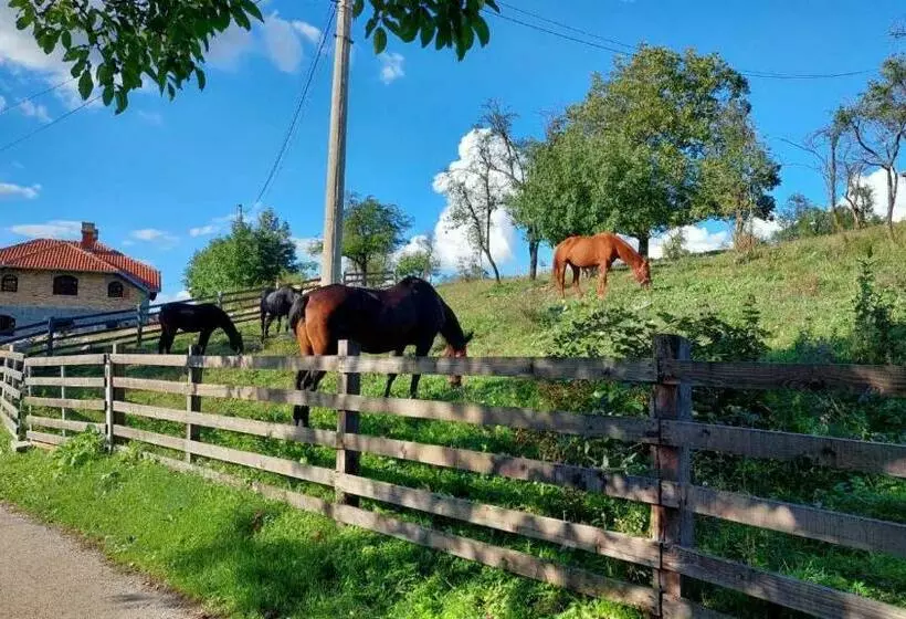 Poljoprivredno Turističko Domaćinstvo Degurić