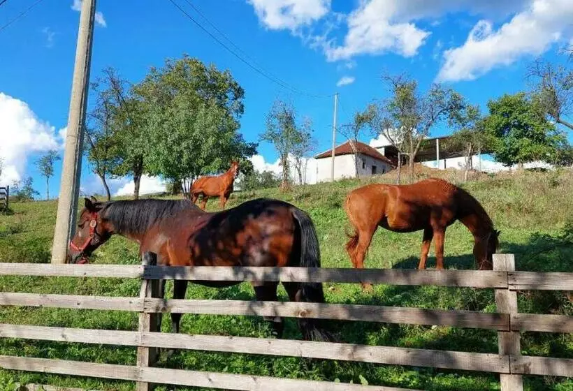 Poljoprivredno Turističko Domaćinstvo Degurić