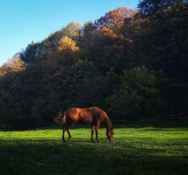 Poljoprivredno Turističko Domaćinstvo Degurić