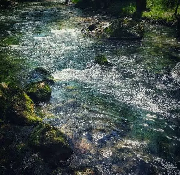 Poljoprivredno Turističko Domaćinstvo Degurić