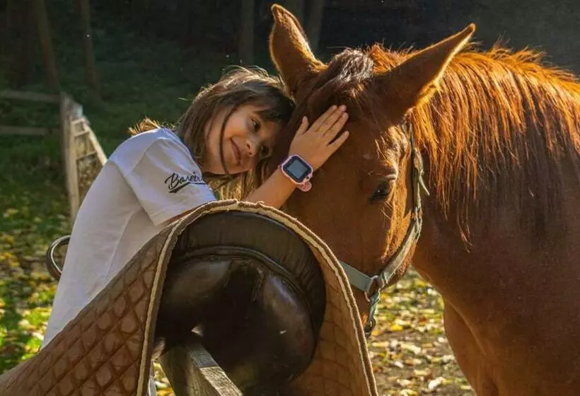 Poljoprivredno Turističko Domaćinstvo Degurić