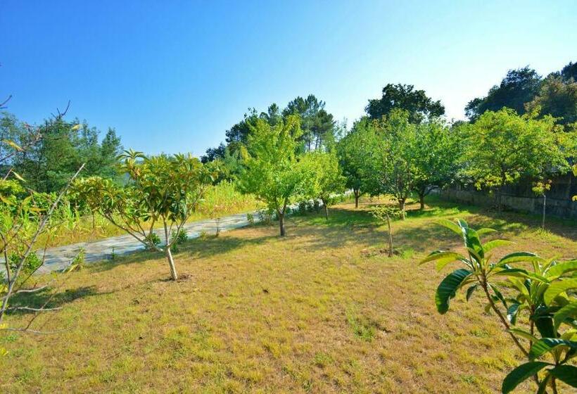 Casa Con Jardín Próxima A Vilagarcía De Arousa