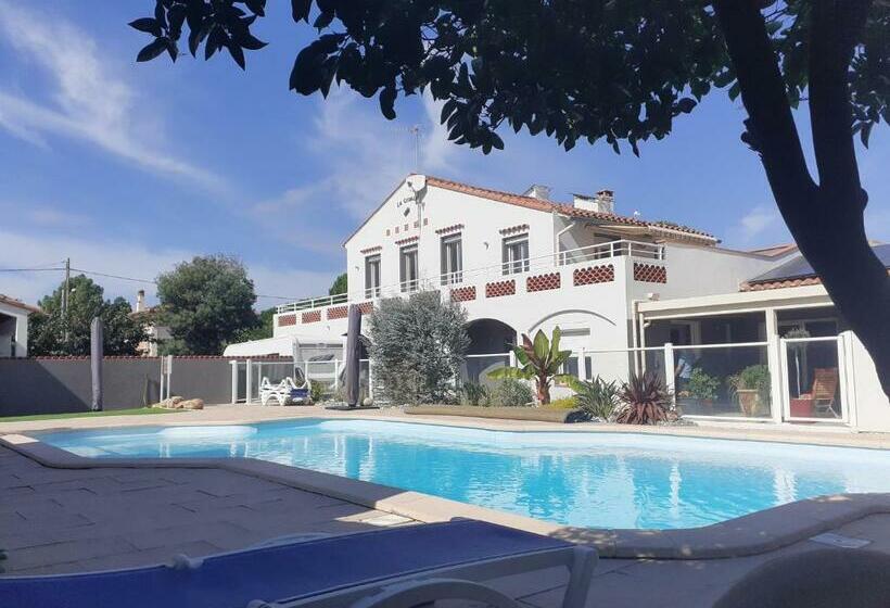 La Cigale Argeles   Studio Pyrenees Orientales